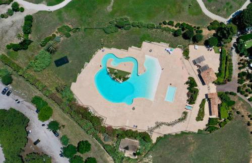 Jungle Azur - Foto 2