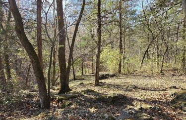 Cabin near Dogwood Canyon, Top of the Rock, Branson - Foto 36