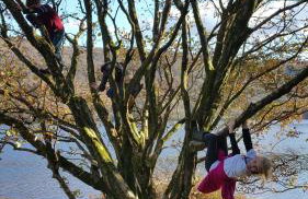 Snowdonia Glamping Holidays, Betws-y-Coed - Foto 45