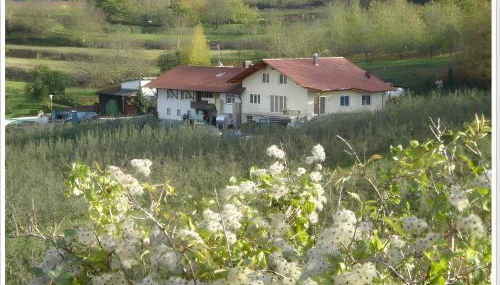 Weingut Ringwald - Foto 4