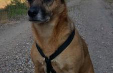 FeWo Schöna45 - Foto 26