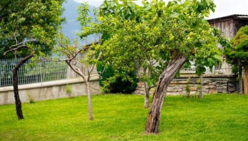 Anna nel verde - Foto 5