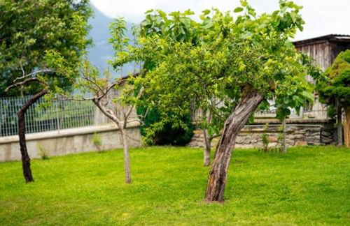 Anna nel verde - Foto 5