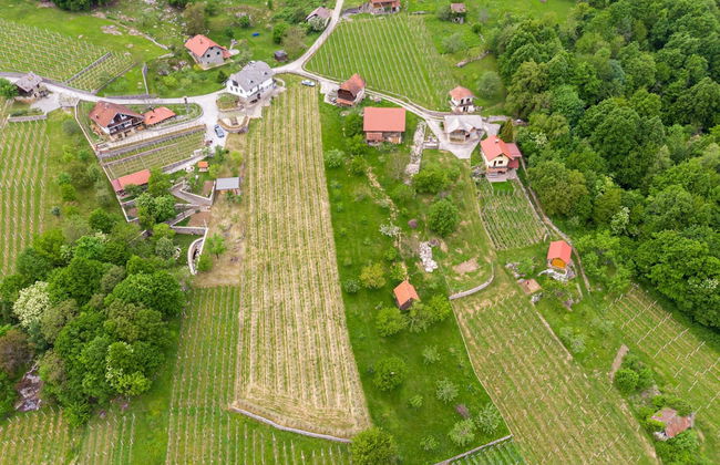 Vineyard Homestead Vrtin - Foto 36