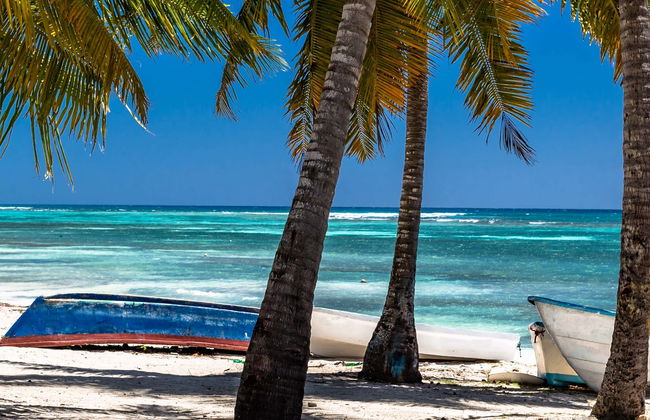 Tour por las playas de isla Saona - Foto 3