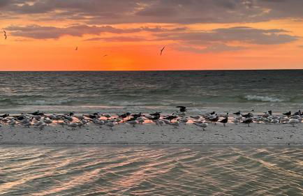 Lighthouse 1124 3 Bedroom Home by RedAwning - Foto 60