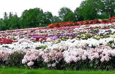 Haus Sonneneck 1 - Foto 18