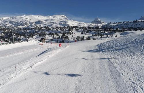 FLOR de MONTANHAS Appt vacances 4P- La Pierre St Martin GR10 - Foto 35