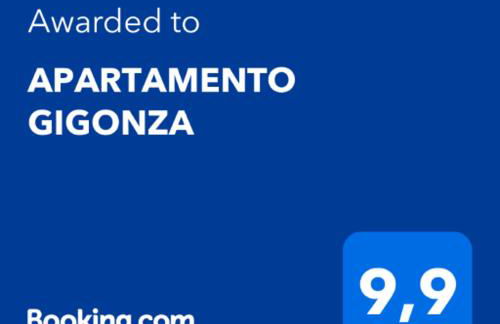 APARTAMENTO GIGONZA - Foto 9