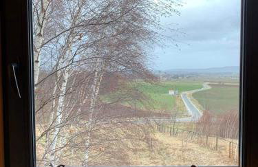 Drewniany dom w brzozowisku - Foto 45