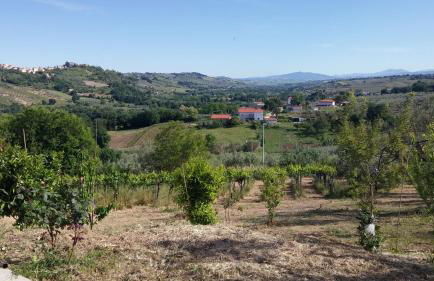 Domus Quarticelli Costa dei Trabocchi - Foto 63