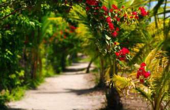 Bahay Tatu - Foto 60