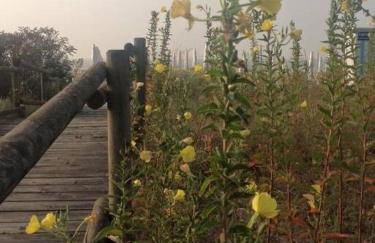 Jesolo Pineta - Appartamento Due Camere Matrimoniali Fronte Mare - Foto 15