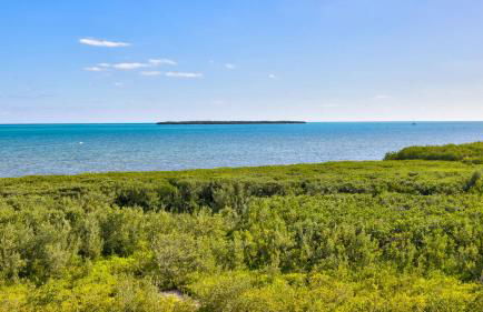 Ocean View Treehouse Double King Suite 3403 - Foto 34