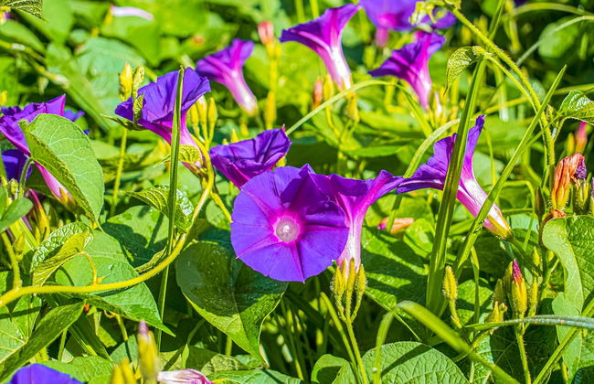 Casa Paxanax - Foto 26