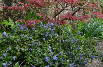 Gîte authentique près Zoo de Beauval et Châteaux - Photo 19