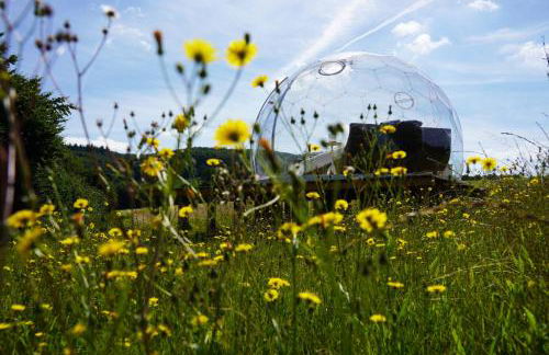 Eichenhof Kalletal - Photo 43