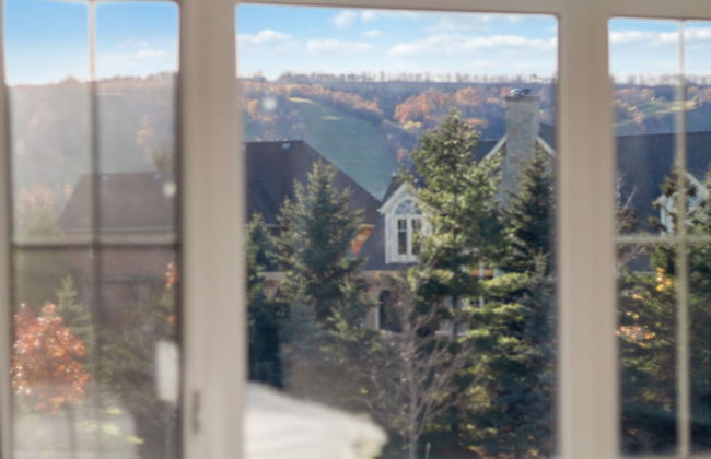 Historic Snowbridge Townhomes - Foto 20