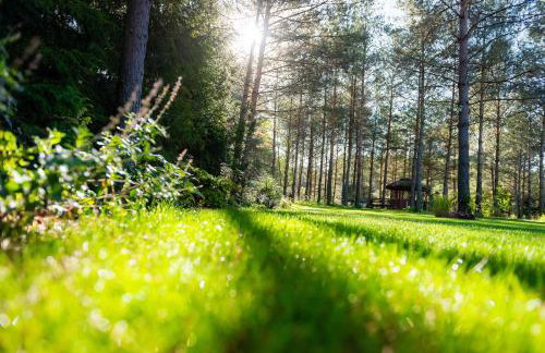 Leśna Strzecha - Foto 36