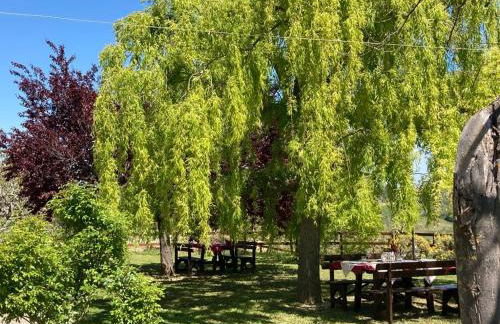 Agriturismo Il Portico - Photo 36