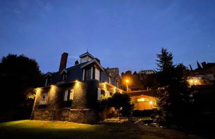 La Demoiselle de Bohardy - Photo 2