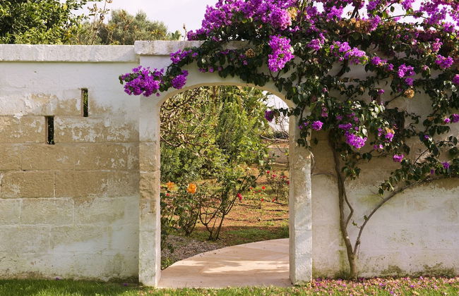 Masseria Don Luigi - Luxury Farmhouse - Foto 65