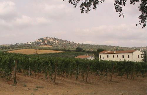 Agriturismo Vigna Mai - Foto 13