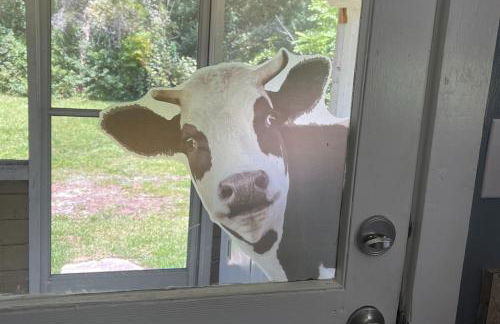 Quiet Retreat not far from Downtown Jax - Foto 17