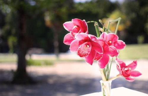 Casa do Lago - Foto 49