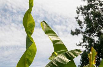 IseoLakeRental - Casa del Pescatore - Foto 48