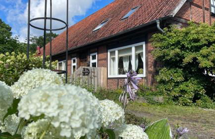 Hof Düshop - Foto 14