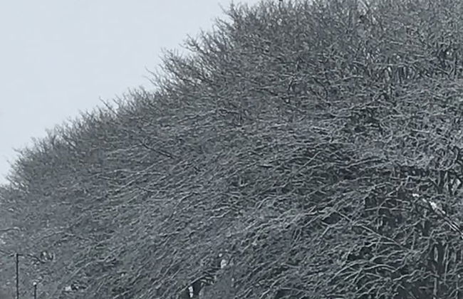 Strandsegård Ferielejligheder - Foto 58