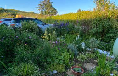 Babas rooms - Foto 38