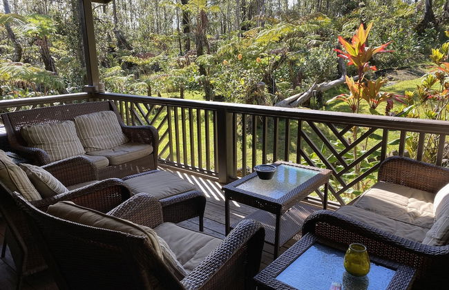 Volcano Rainforest Lodge - Foto 20