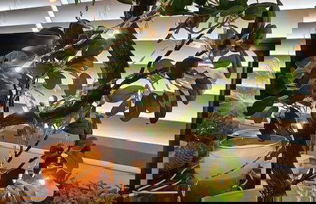 Voss Condominium - Foto 14