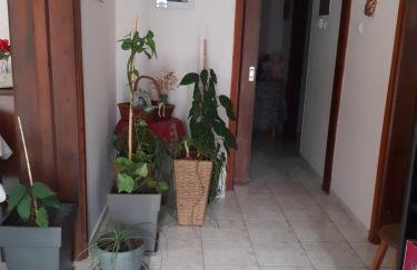 Vagelis 2 Nemea apartments - Foto 25