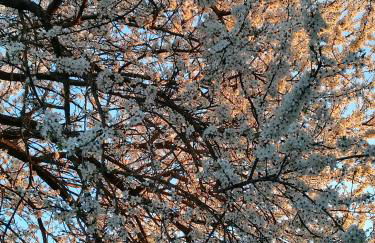 Agriturismo Loghino Sabbioni - Foto 6