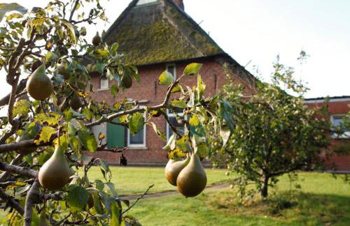 Ferienwohnung Anna Frieda - Foto 21