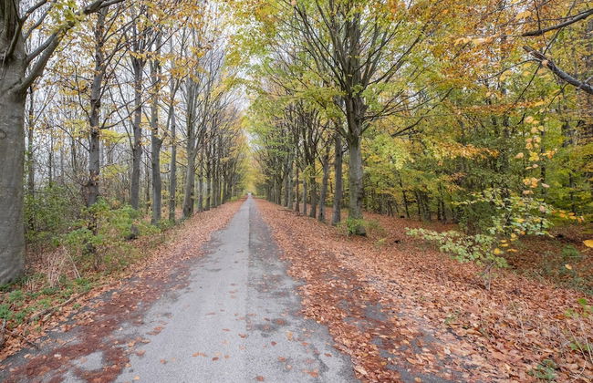 Exclusive Villa With Boat Terrace - Foto 39