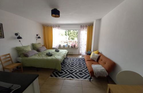 Gemütliche Kölsche Studio-Wohnung - Foto 21