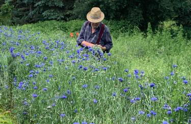 Apartament Blumenblick - Foto 36