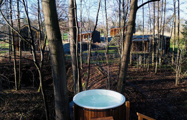 Stare Sady Kopytówka - Photo 48