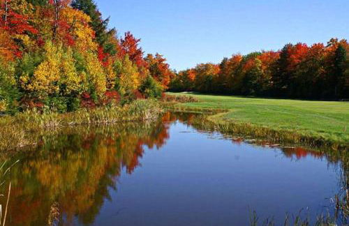 The Beautiful & Cozy Malvec Chalet - Foto 11