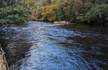Unique Orchard Lodge for couples with hot tub - Photo 32