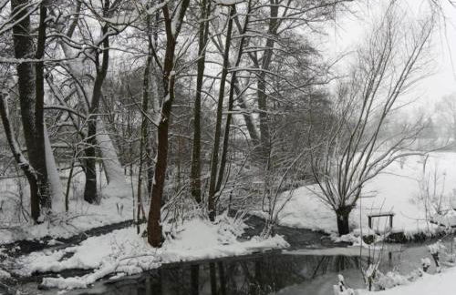 Wohnung im Teutoburger Wald Externsteine - Foto 70