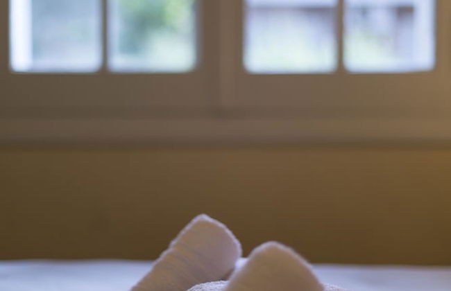 Bosque Divino Cabañas & Suites - Foto 13