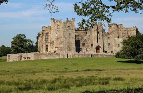 West Reins - Photo 26