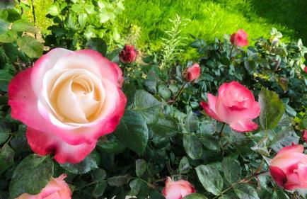 Exclusive Airport Apartment - Foto 8