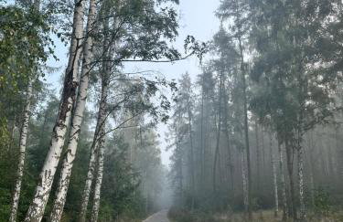 Apartament Vespa - Foto 27