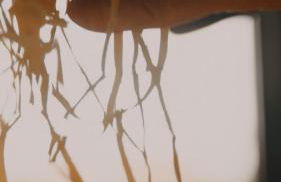 Tenuta Bellingeri - Locanda del Barco - Foto 67